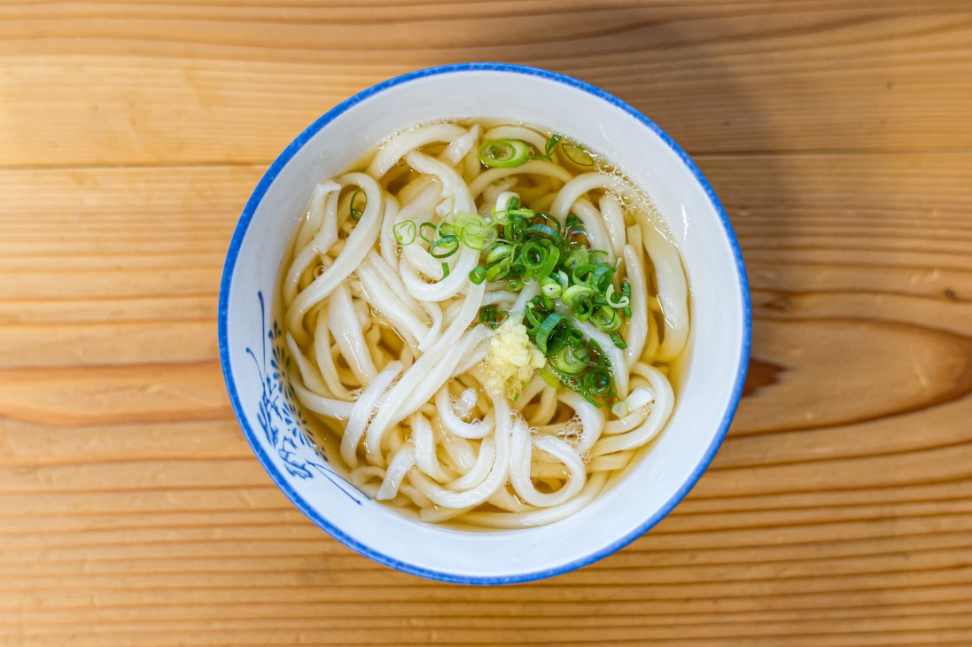 A bowl of thick white udon noodles in clear broth with green onions garnish in a blue-rimmed white ceramic bowl