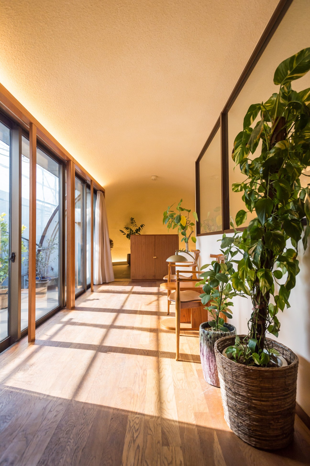 Bright modern salon interior with wooden floors, potted plants, and warm ambient lighting throughout.