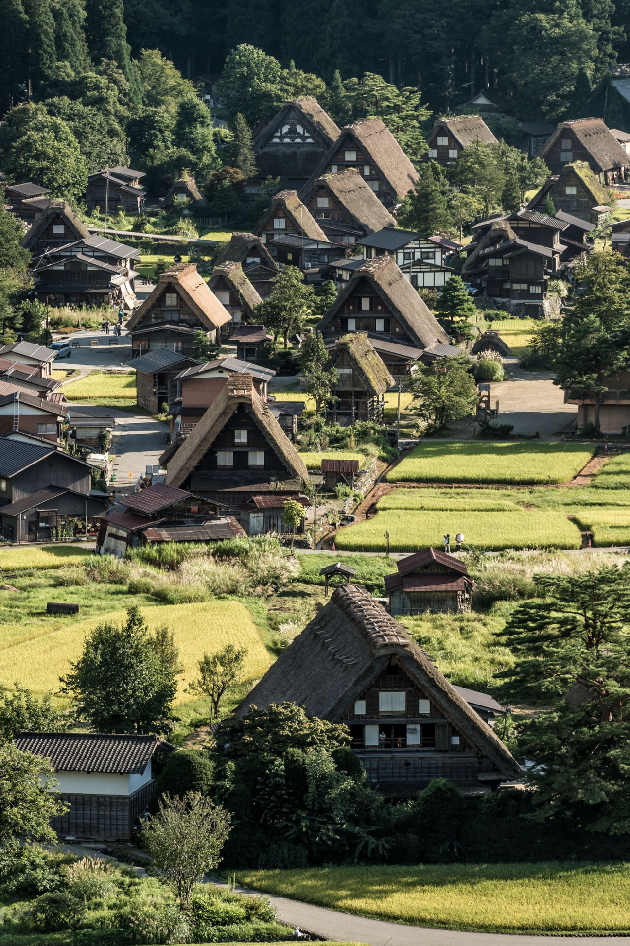 Aerial view of Shirakawa village with traditional thatched-roof houses nestled among forested hillsides and green rice paddies.