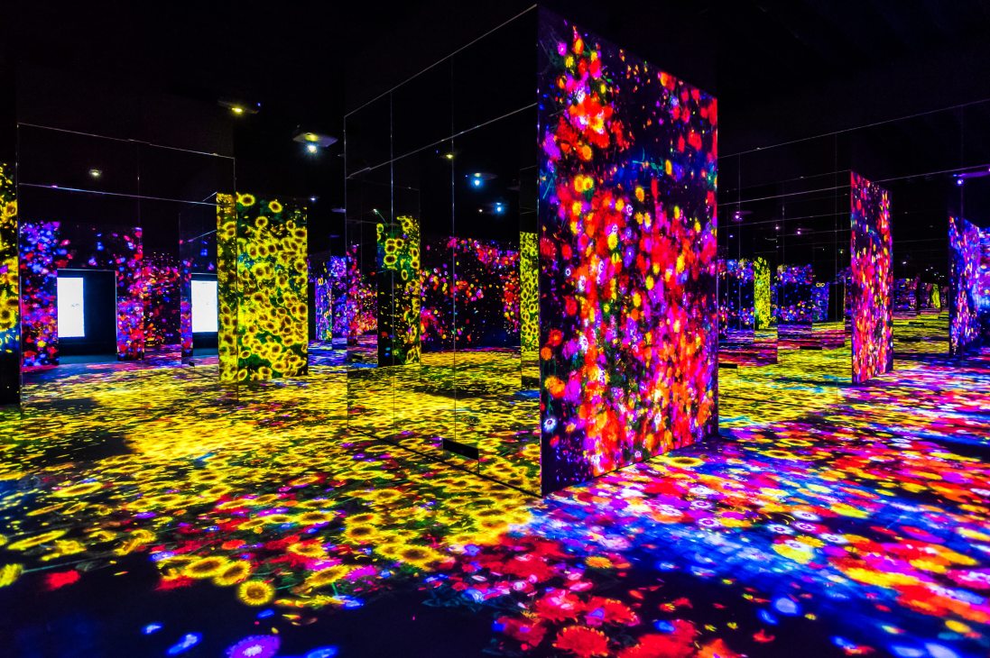 Immersive digital art installation with glowing flowers and geometric pillars in vibrant neon colors.