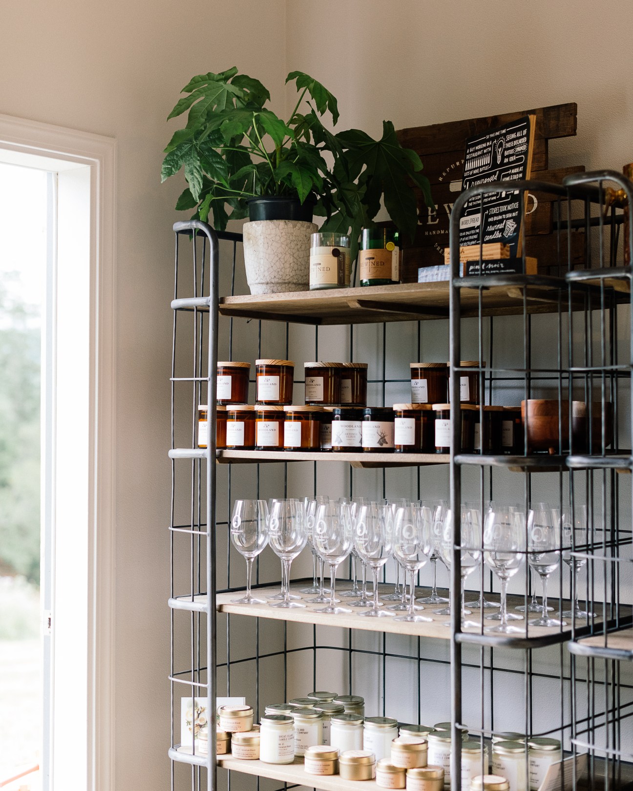 Industrial shelving unit displaying wine bottles, glassware, jars and products with plant on top shelf