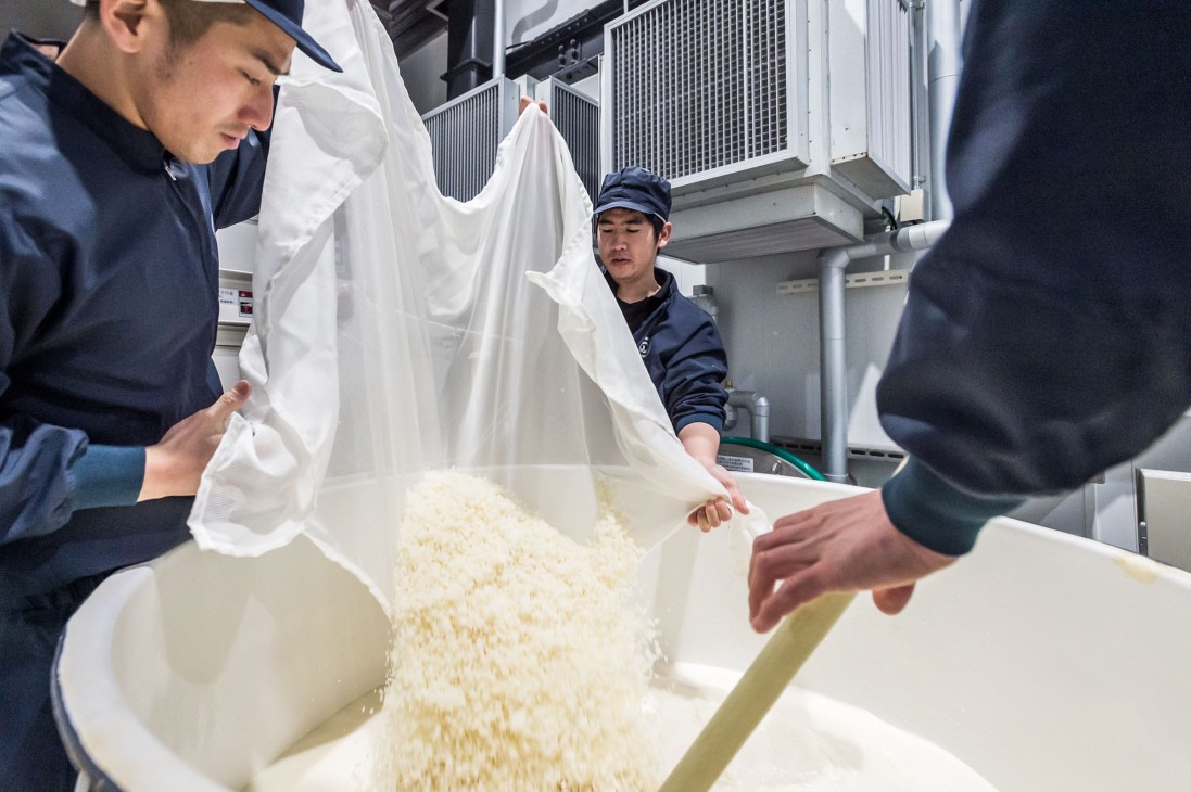 Workers pouring rice into a large white container during saké production at Noguchi Naohiko Sake Institute.
