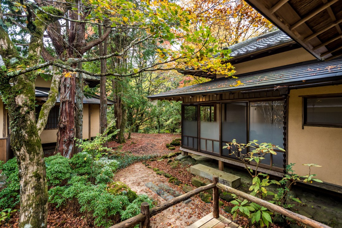 Lush forest surroundings with tall trees and natural vegetation around the Nest Inn property
