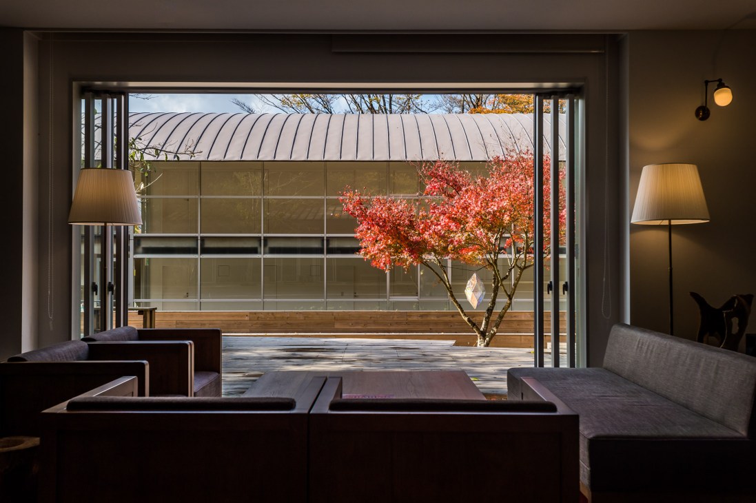 Modern lounge interior with dark seating, warm lighting, and large windows framing autumn foliage outside.