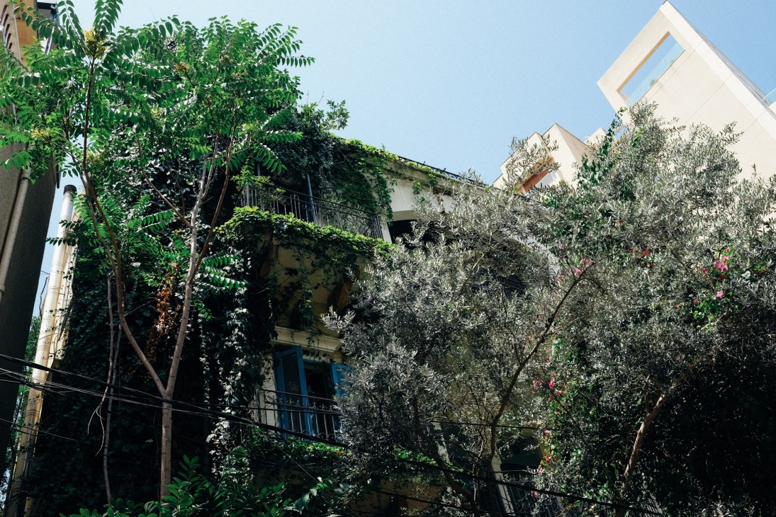 Beirut buildings with lush greenery covering balconies and climbing up facades in the Ashrafieh district.