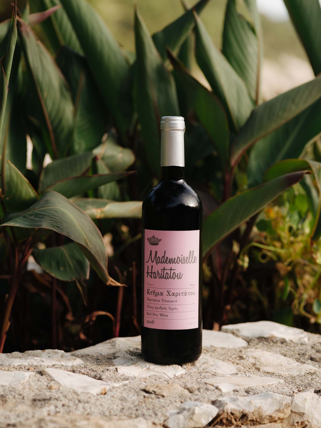 Mademoiselle Haritatou red wine bottle with pink label displayed against green foliage.