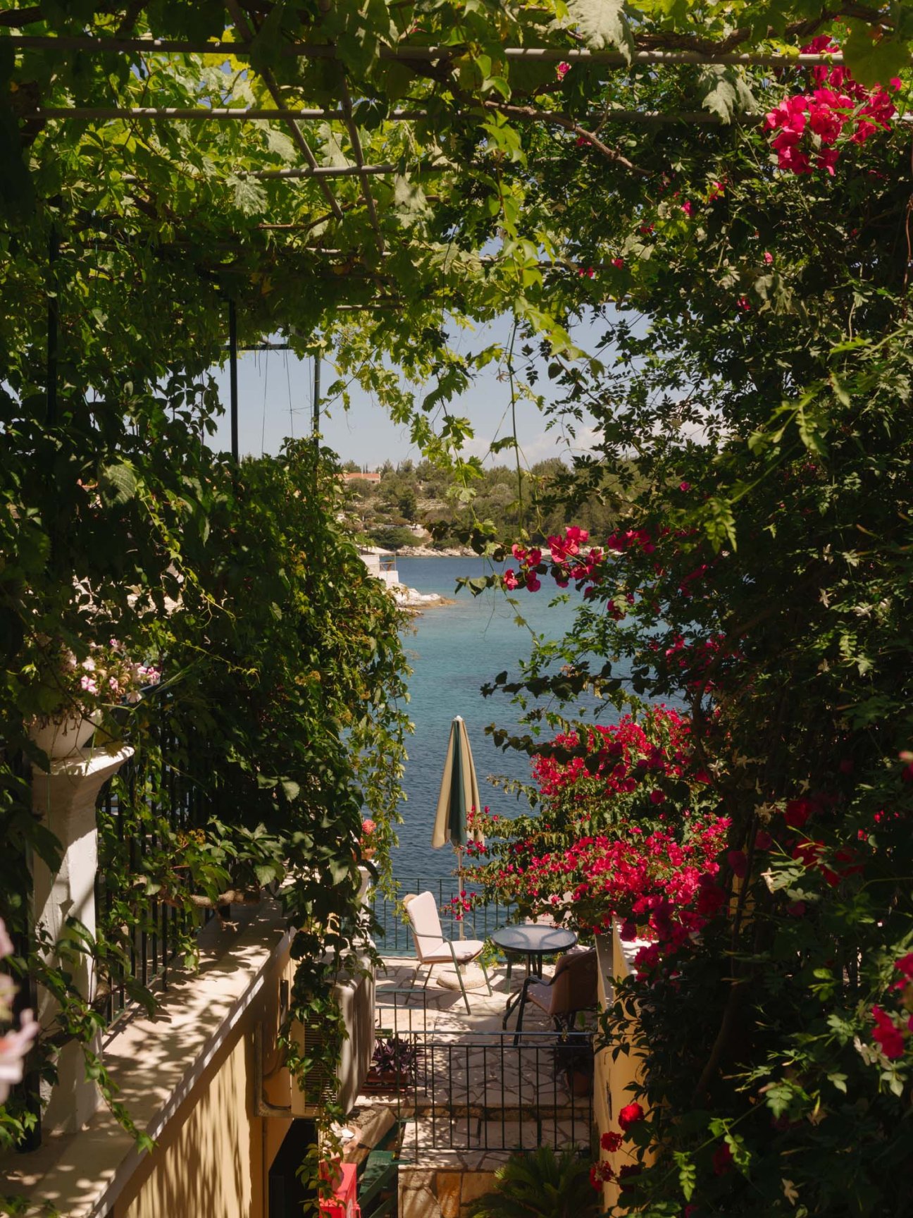 View of a coastal terrace framed by flowering bougainvillea and climbing vines overlooking a turquoise Mediterranean sea.