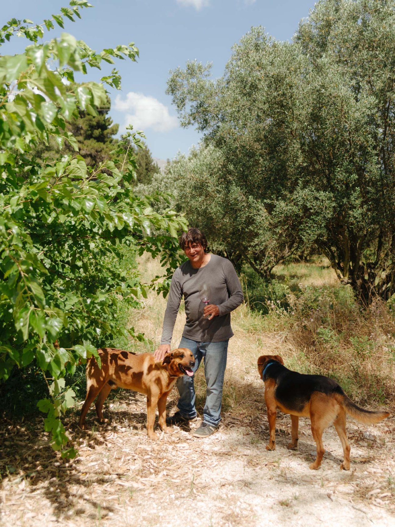 Vladis Evriviadis of Sclavos winery walking with two dogs through his vineyard.