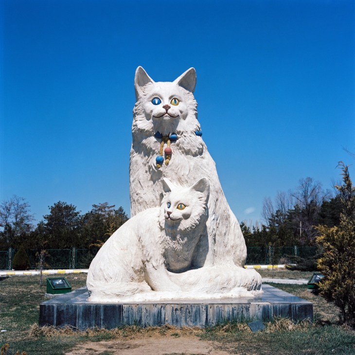 White stone statue of two Van cats with mismatched blue and yellow eyes against blue sky.