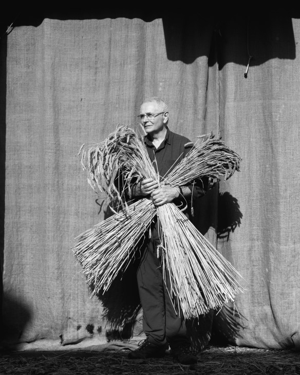 Andrew Whitley of Scotland the Bread holding bundles of heritage grain stalks.