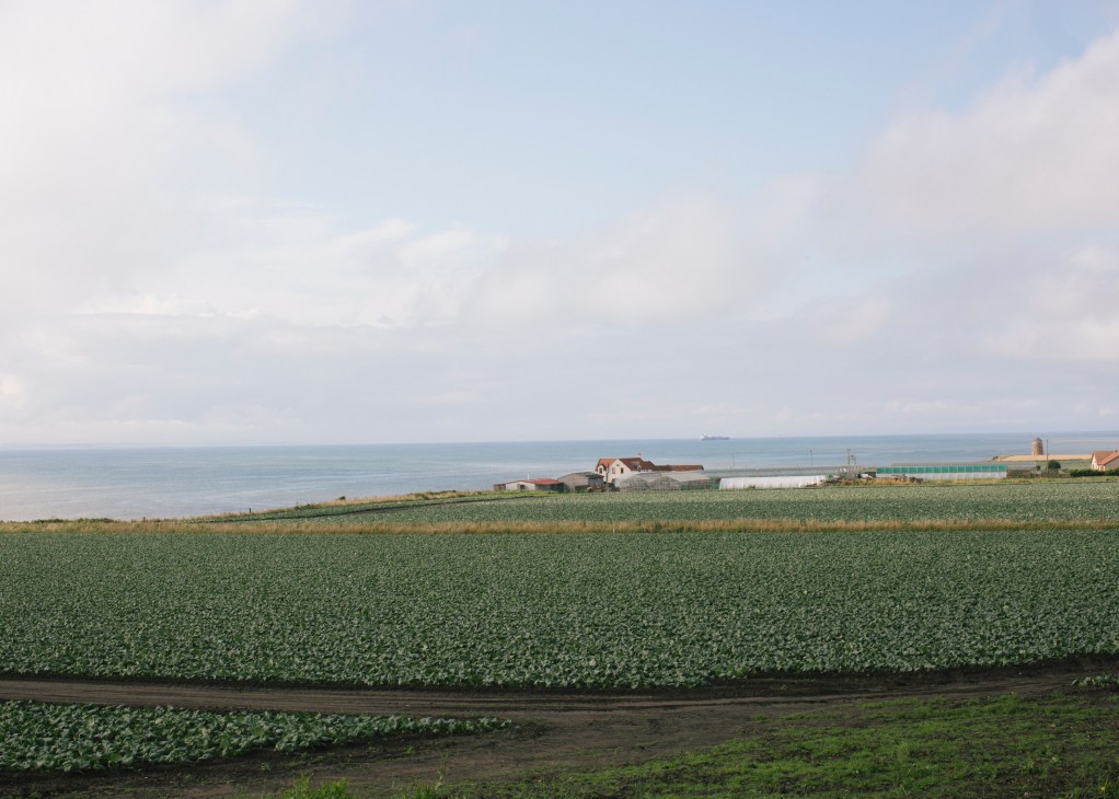 Coastal farmland with green crops stretching toward the North Sea and distant farm buildings.