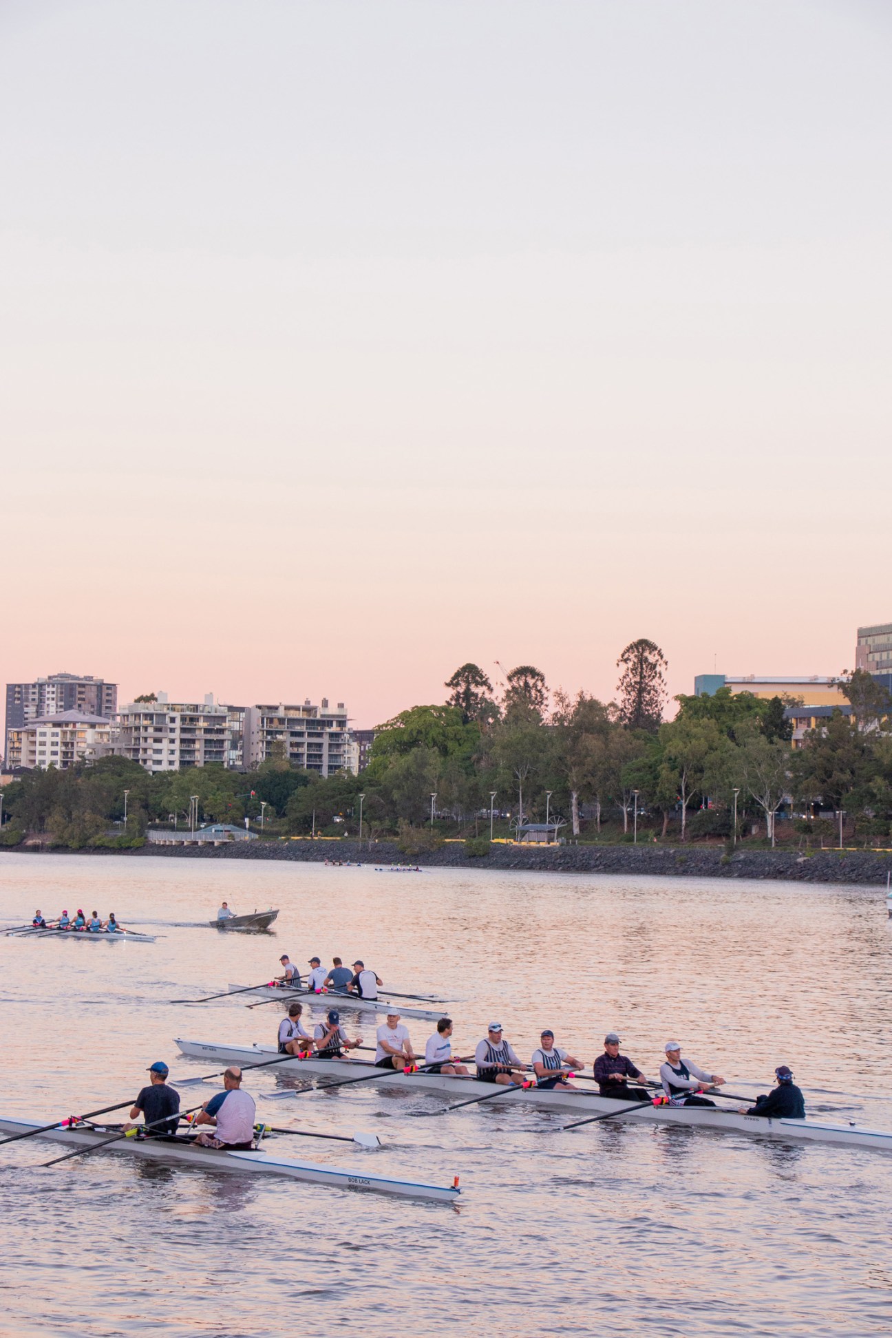 Multiple rowing crews training on the Brisbane River at dawn with city buildings and trees in the background.