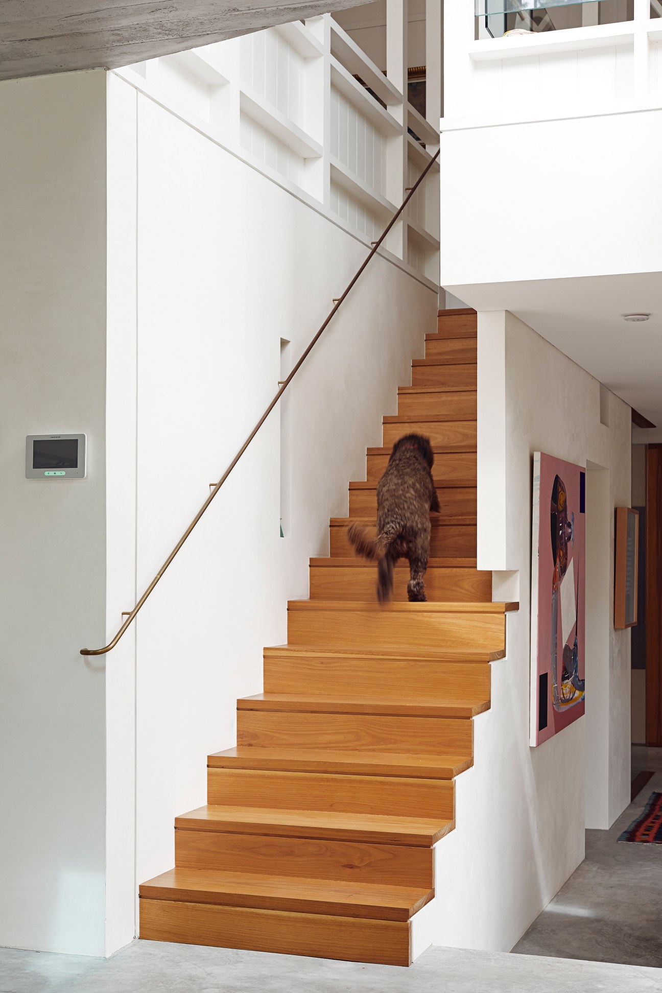 A dog runs up wooden stairs with a brass handrail in a modern home interior.