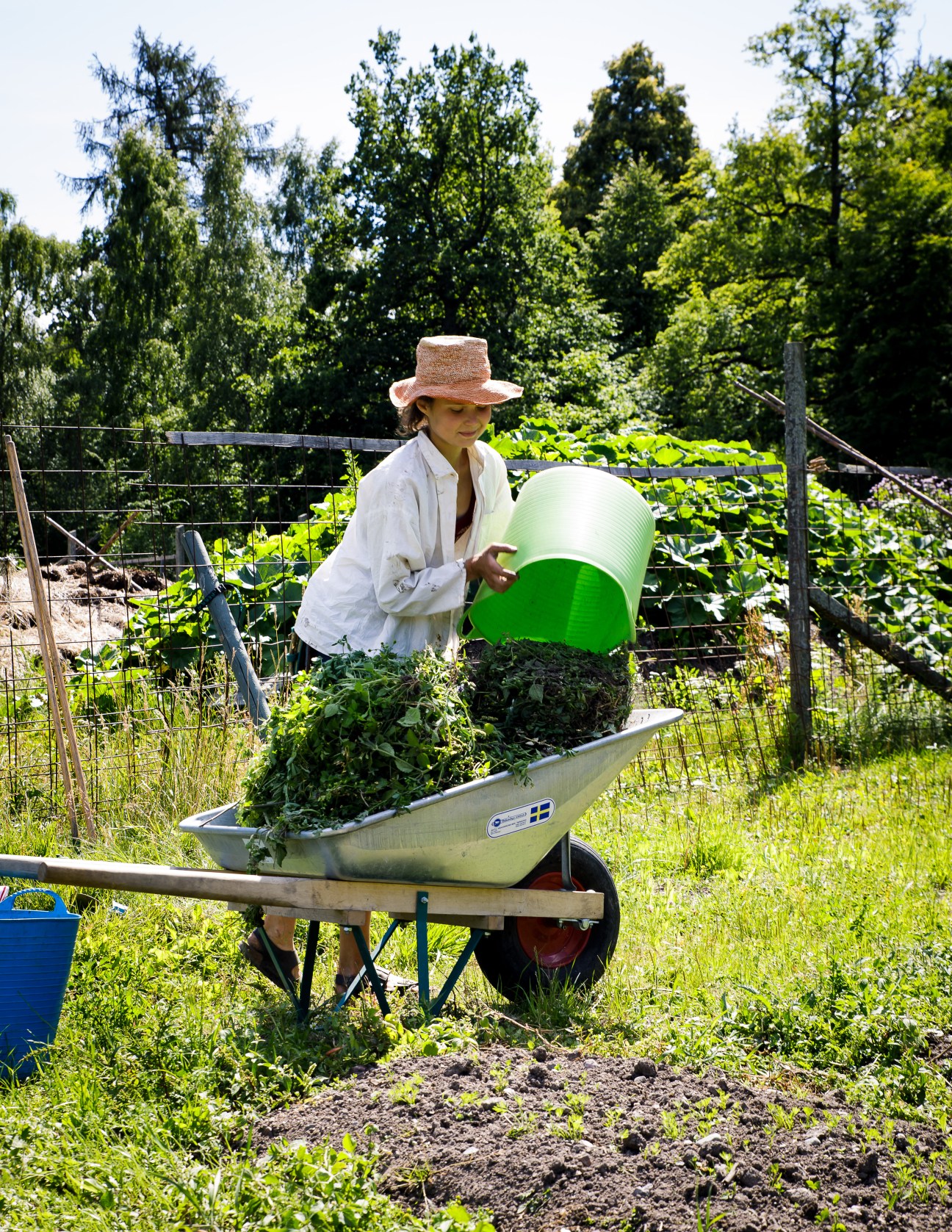 Woman in straw hat and white shirt emptying green bucket into wheelbarrow filled with garden waste in vegetable garden