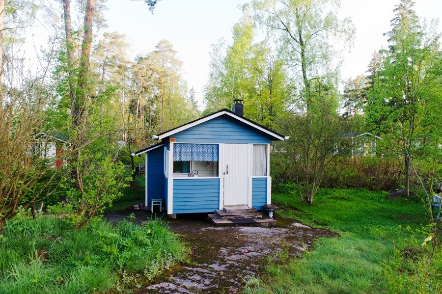 Blue and white summer cottage surrounded by birch trees and green vegetation in Finland