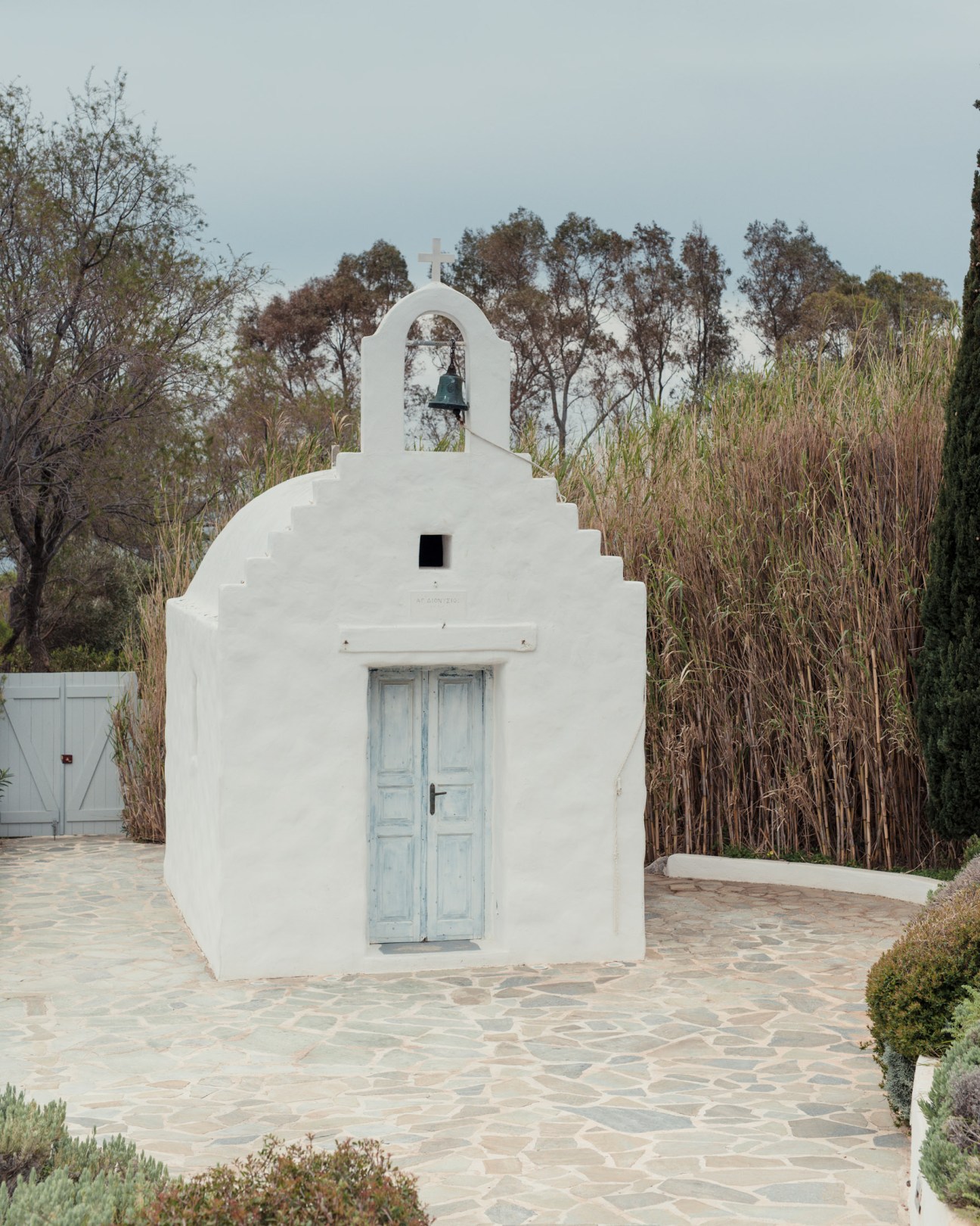 White-walled chapel with blue doors and bell tower surrounded by tall dried reeds and Mediterranean trees.