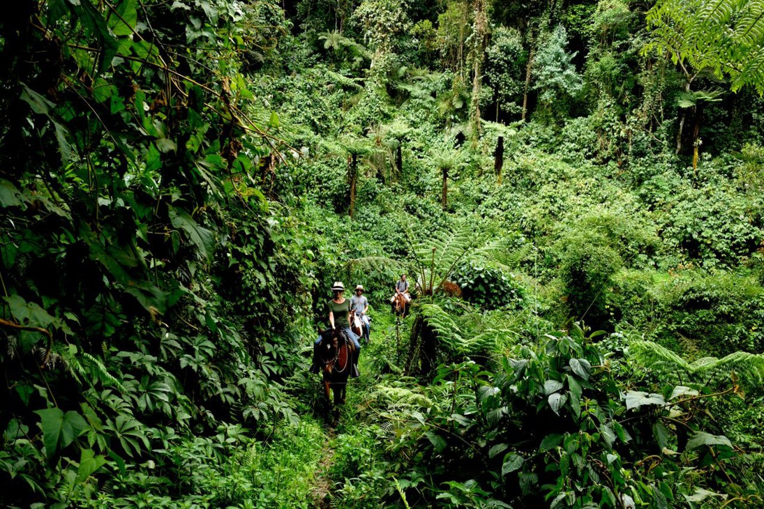 Horseback riders trek through dense green forest at Casas de Catuçaba in São Paulo.
