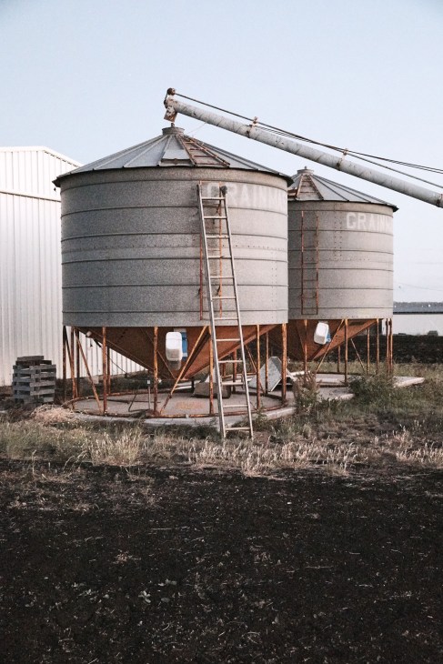 Two large cylindrical grain storage silos on a farm with metal support structures and conveyors against a clear sky.