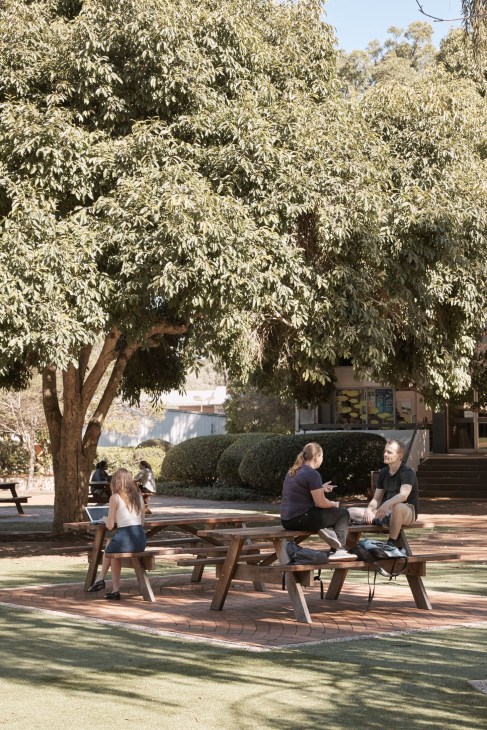 Students sitting at a picnic table under a large tree on the University of Southern Queensland campus.