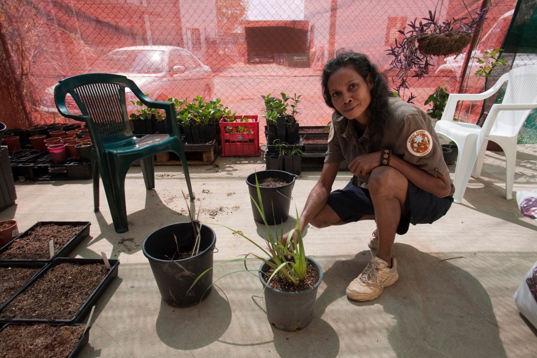 Ranger Lorraine Williams of the Larrakia indigenous tribe crouches among potted plants in a nursery with a red mesh fence behind her.