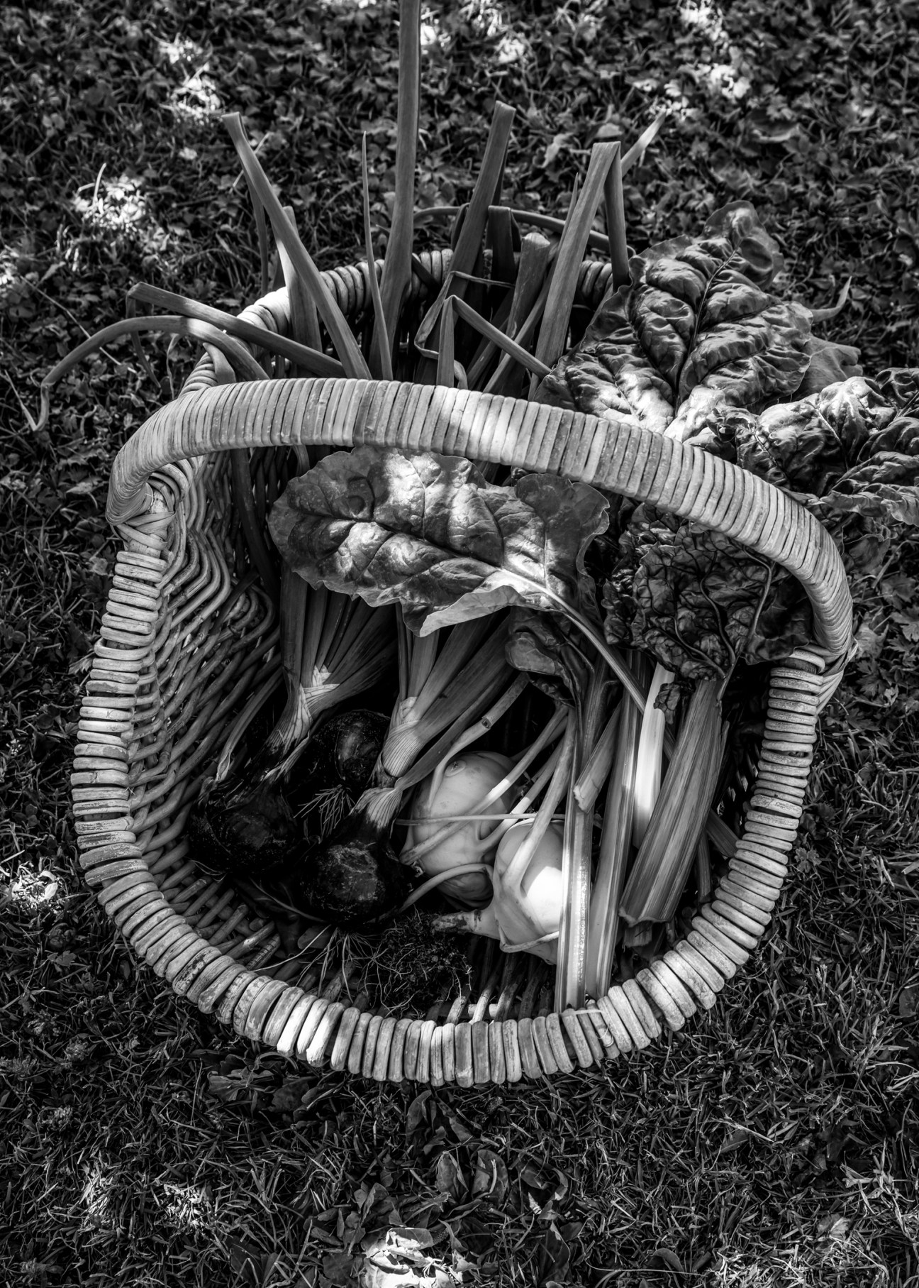 Wicker basket filled with fresh vegetables and produce sitting on grass outdoors