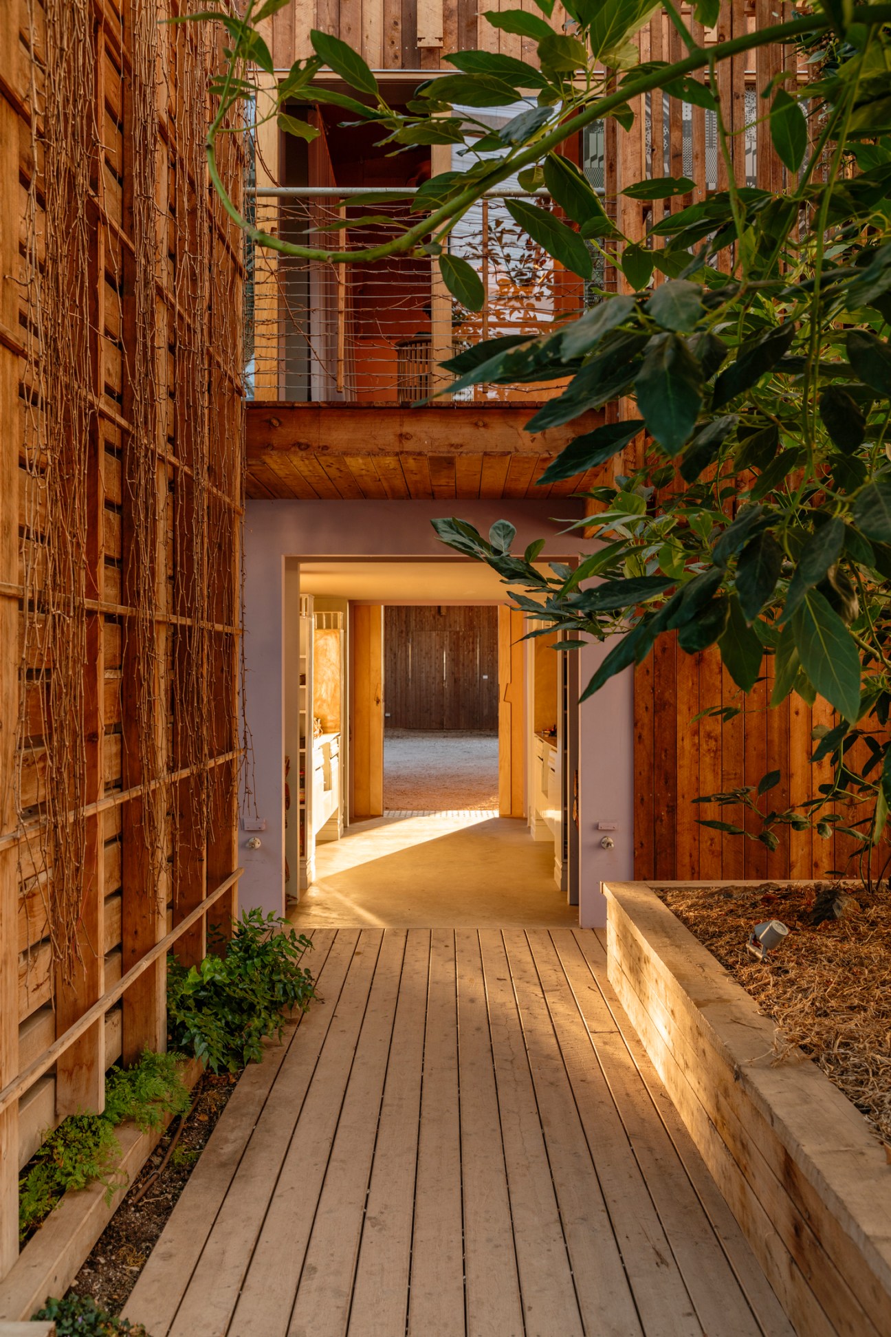Wooden entrance walkway with lush plants leading to illuminated interior spaces and upper level balcony