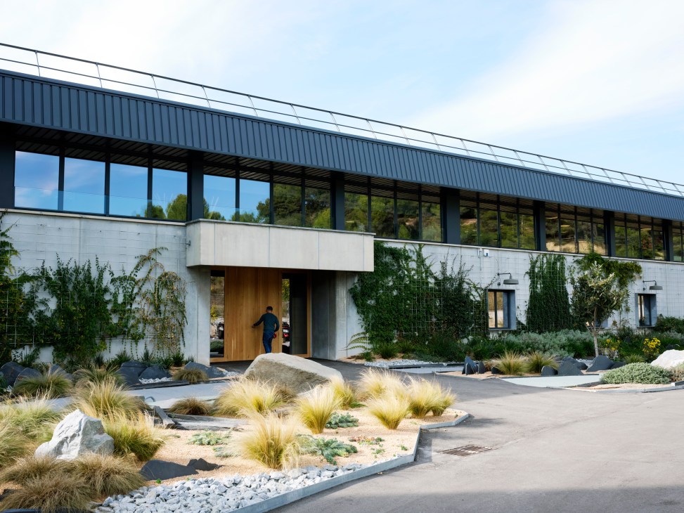 Modern glass and concrete building entrance with drought-resistant landscaping and ornamental grasses