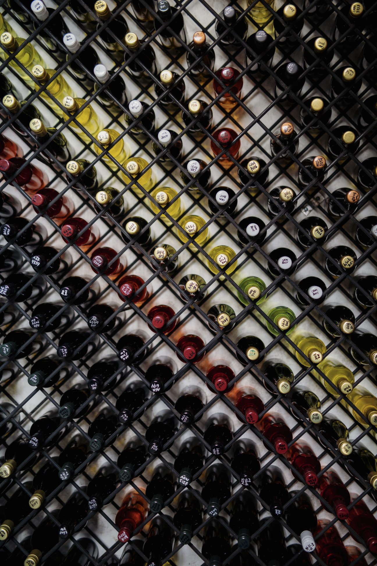 Wine bottles from James Kalleske's Hatten Wines collection on display