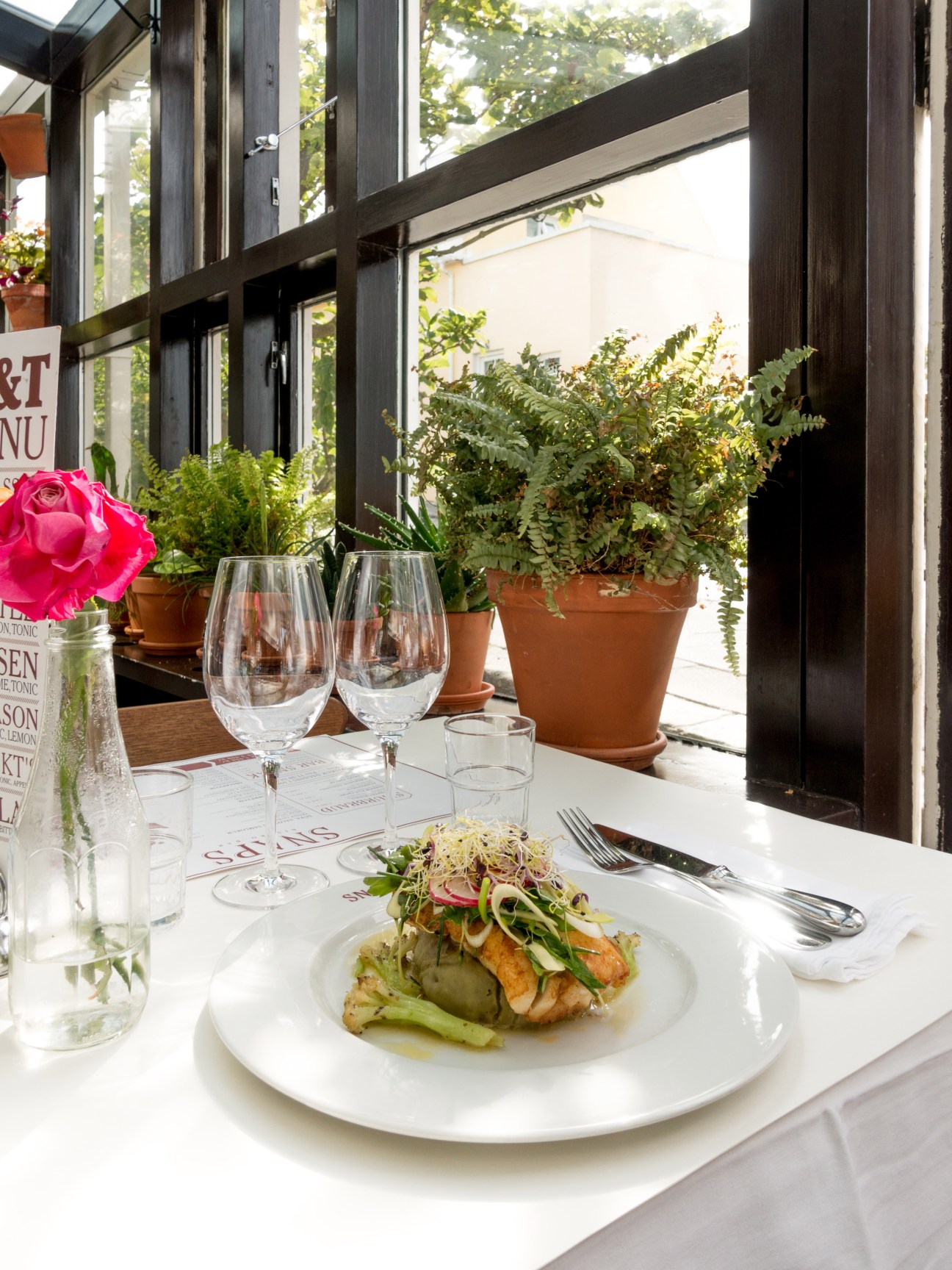 Elegant plated dish with greens and wine glasses on white tablecloth at restaurant Snaps in Reykjavík