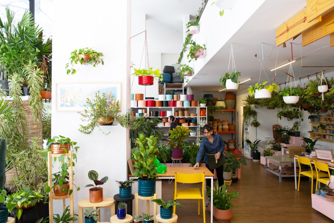 Woman arranging plants in bright shop filled with potted plants, colorful planters and hanging greenery