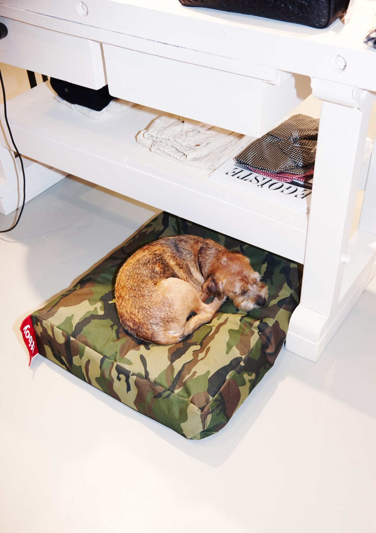 Brown dog sleeping on a camouflage patterned dog bed under a white furniture piece in Rendez-vous shop.