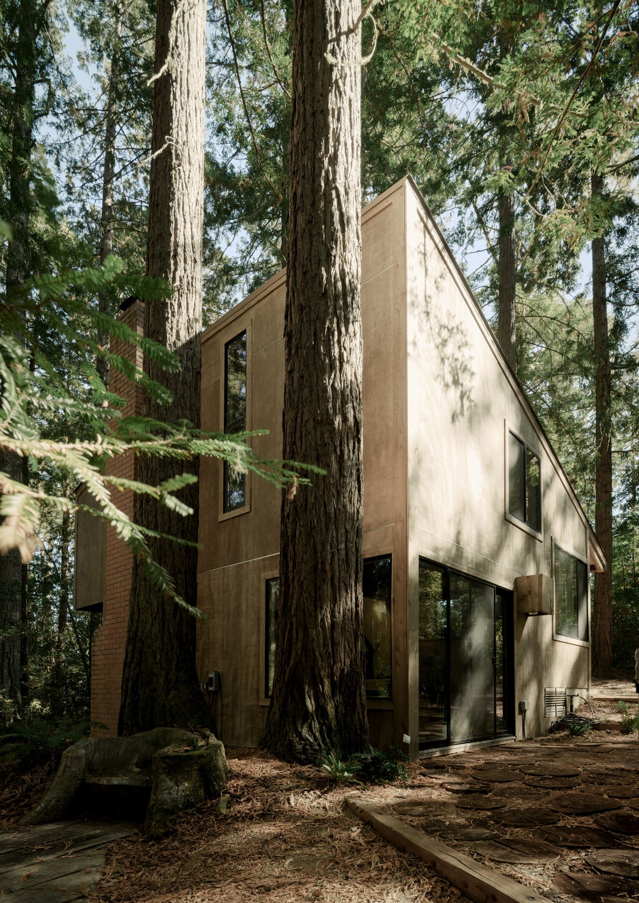 Modern house with brown exterior nestled among tall redwood trees in a forest setting.