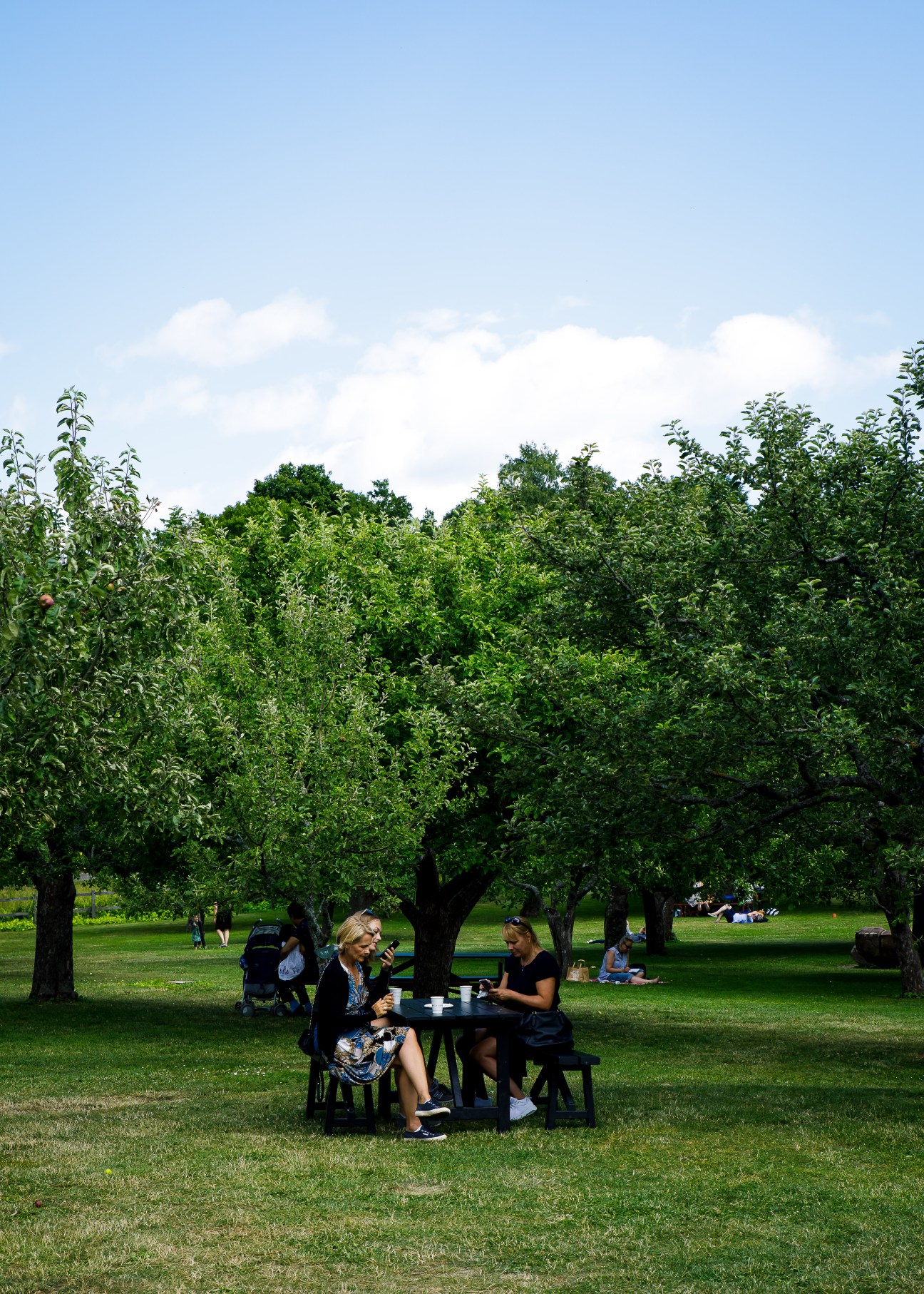 Two women sitting at a dark table under fruit trees in a sunny orchard with other visitors scattered across the grass