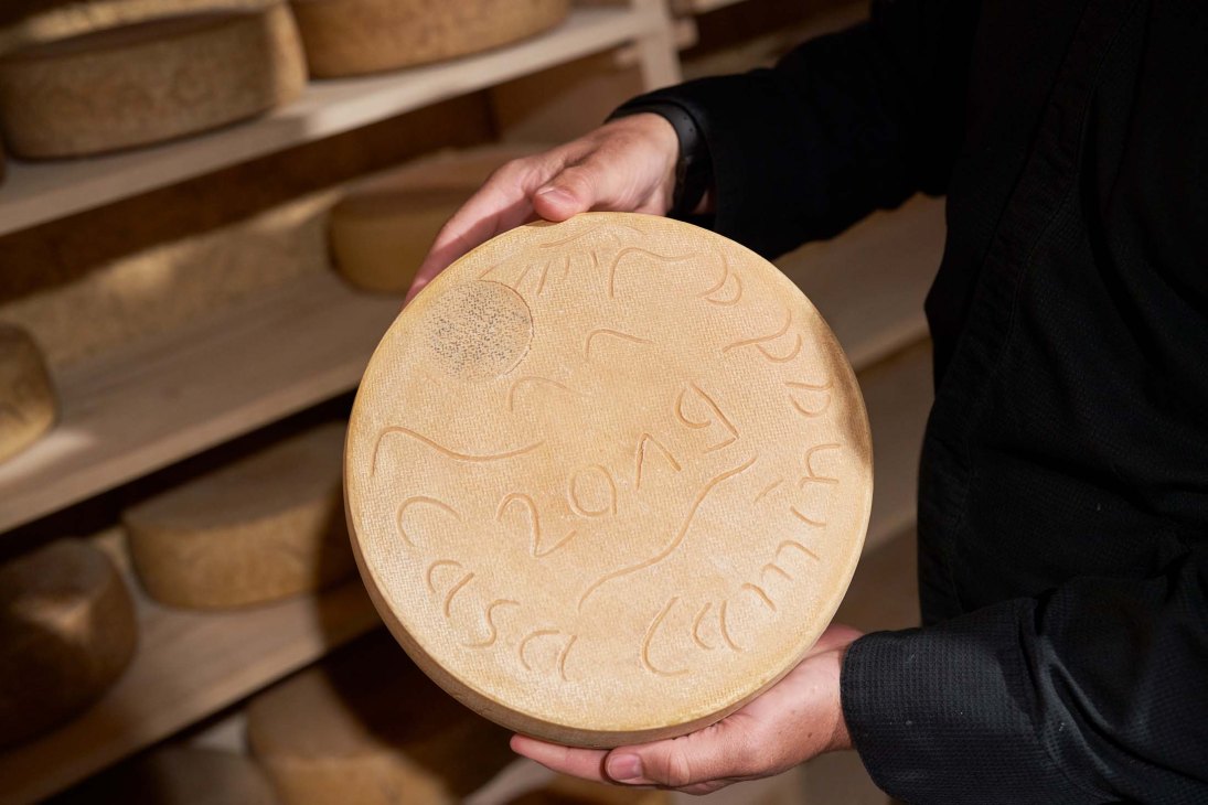 Hand holding a round wheel of fresh Swiss Alpine cheese with decorative embossed pattern.