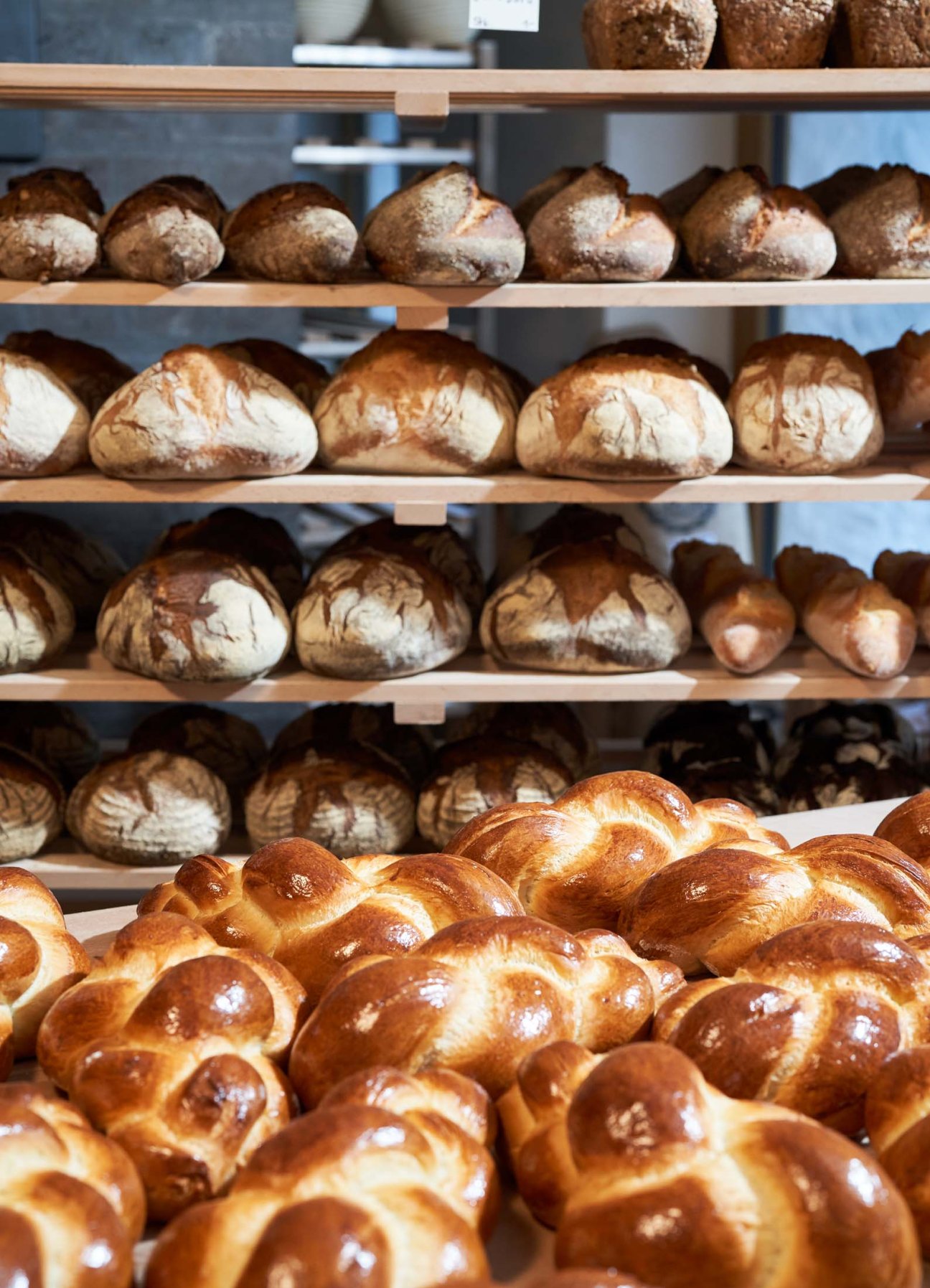 Artisanal bread loaves displayed on wooden shelves in a bakery, including crusty rounds and braided loaves.