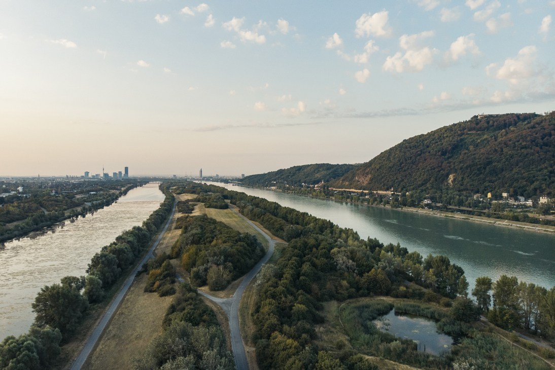 Aerial view of Danube Island with the river splitting into two channels, forested banks, and Vienna's skyline in the distance.