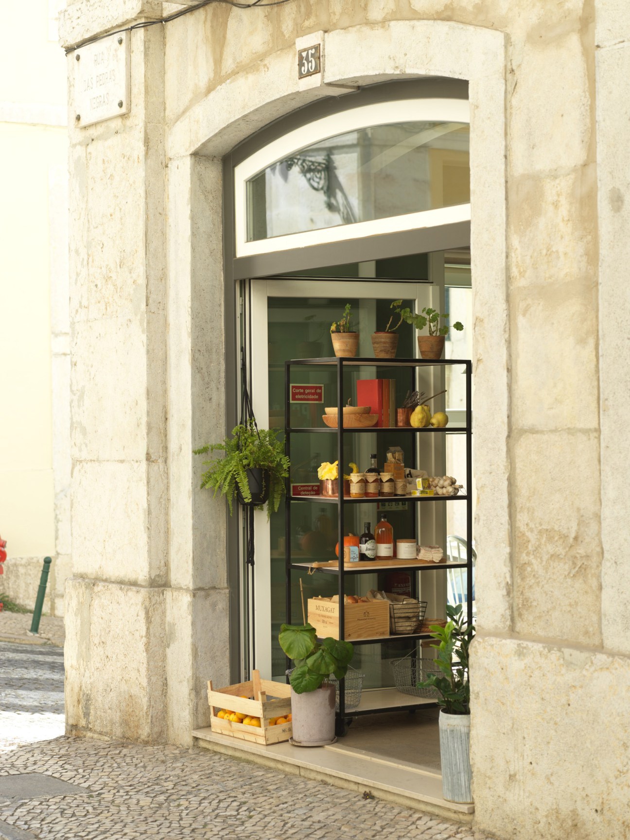 Prado Mercearia grocery store entrance in Lisbon with sage green interior, potted plants, and metal shelving displaying produce and products.