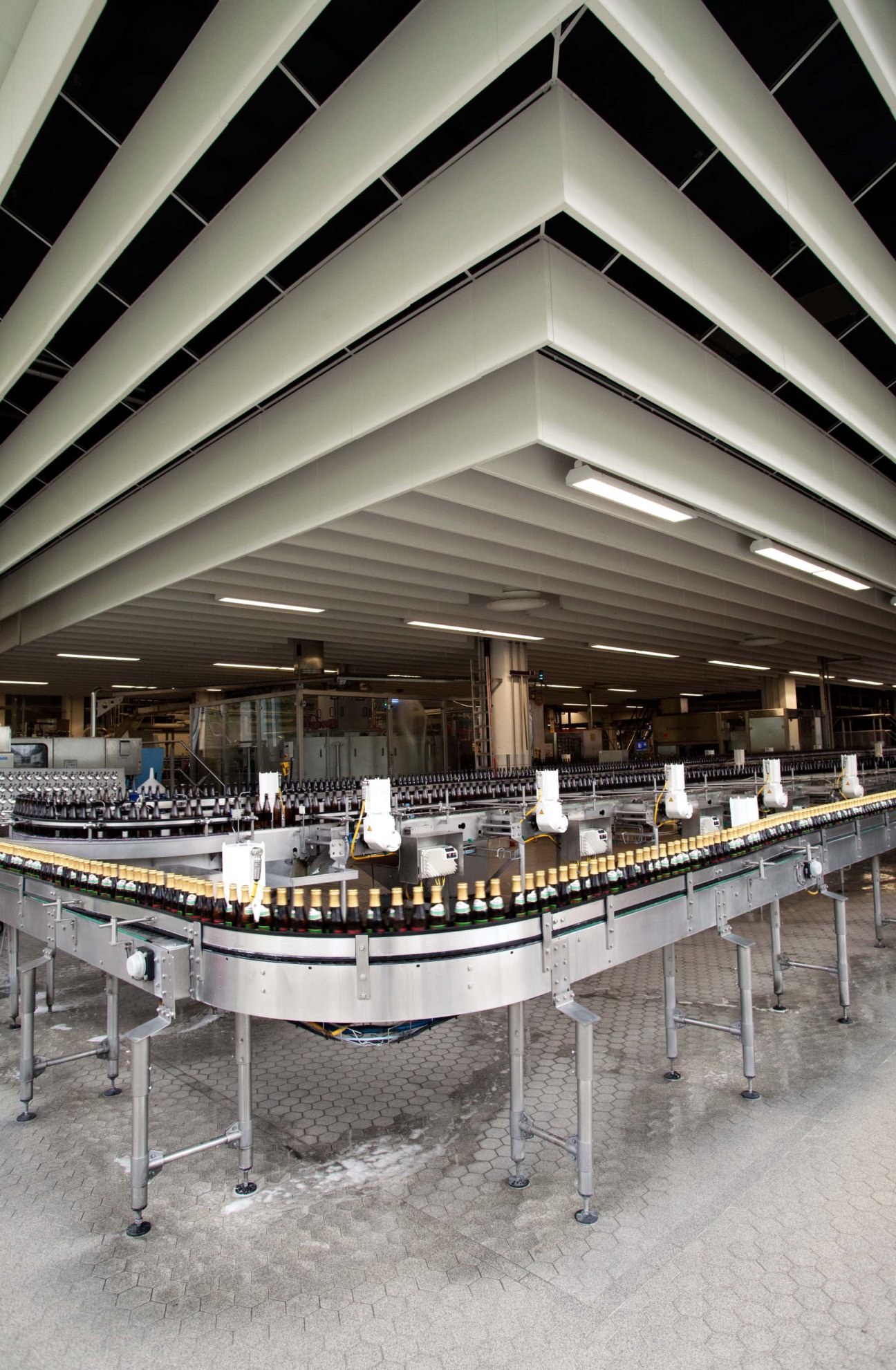 Rothaus brewery bottling line with automated conveyor system filling beer bottles at high speed under modern industrial lighting.