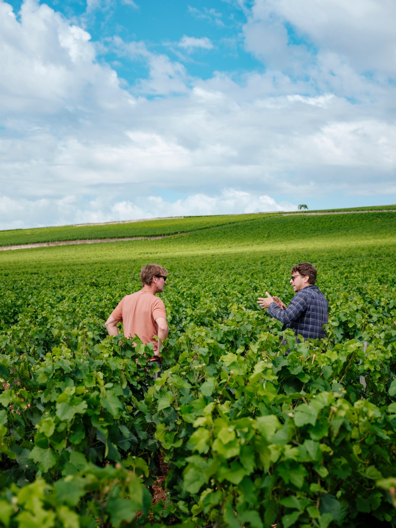 Two men stand in a Burgundy vineyard discussing wine production under a partly cloudy sky.
