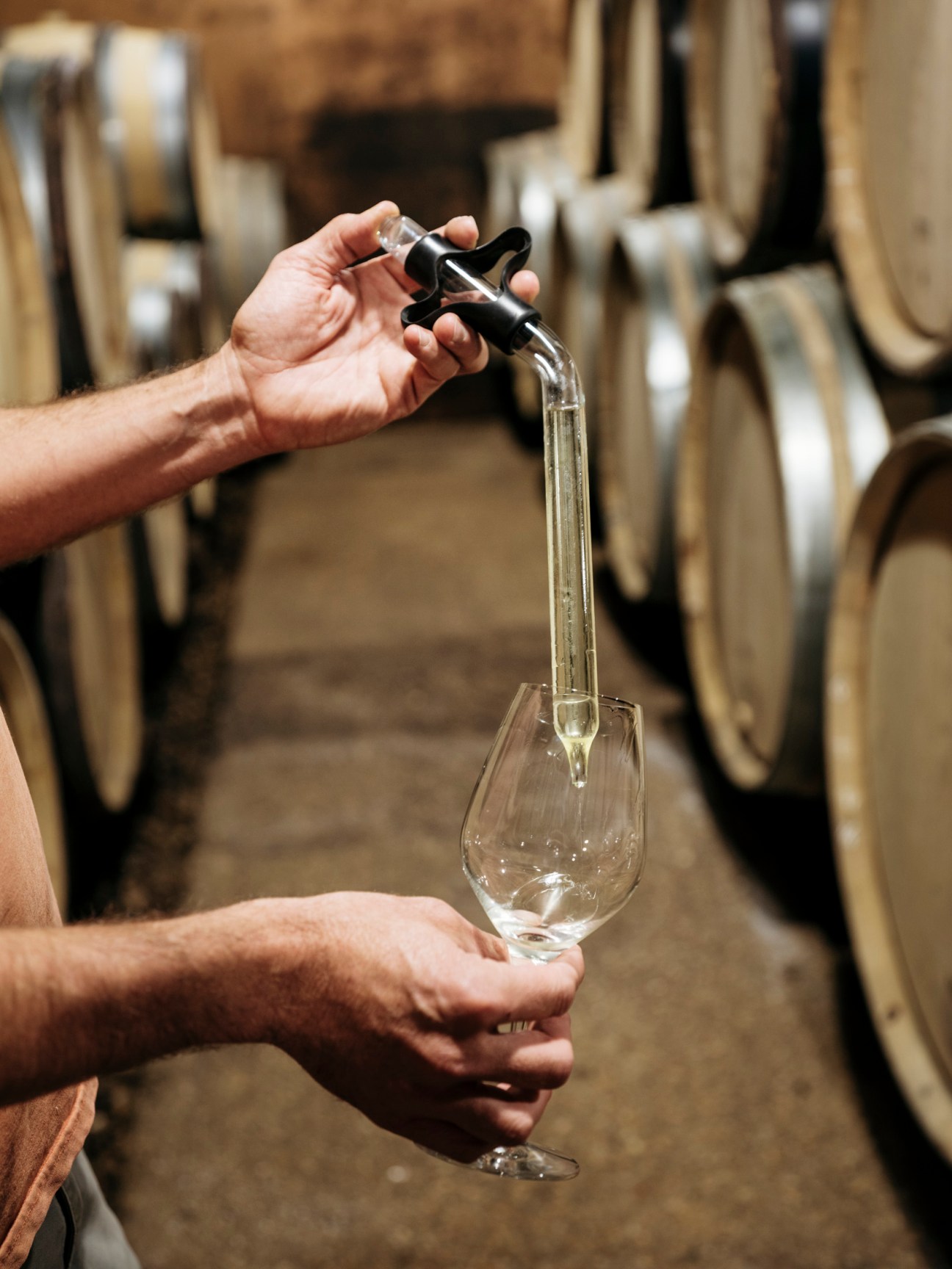 A hand holding a wine glass being filled from a tap in a cellar with wooden barrels in the background.