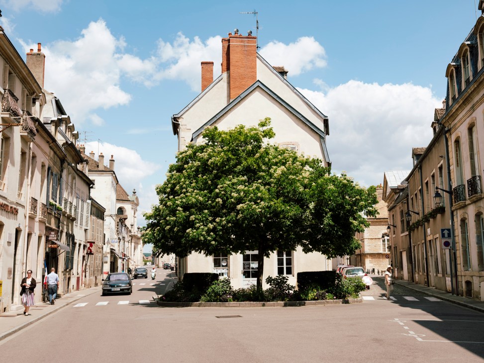 A charming French town square in Beaune with period buildings and a large leafy tree in the center.