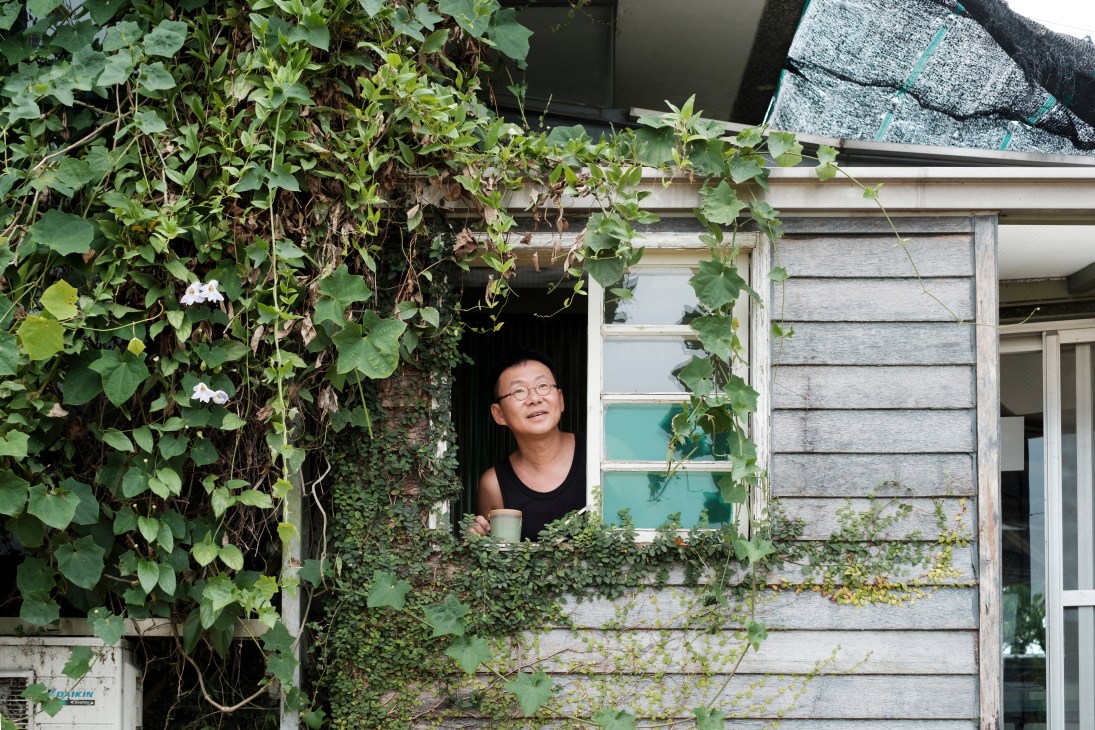 Man with glasses holding coffee cup at window surrounded by climbing vines and greenery