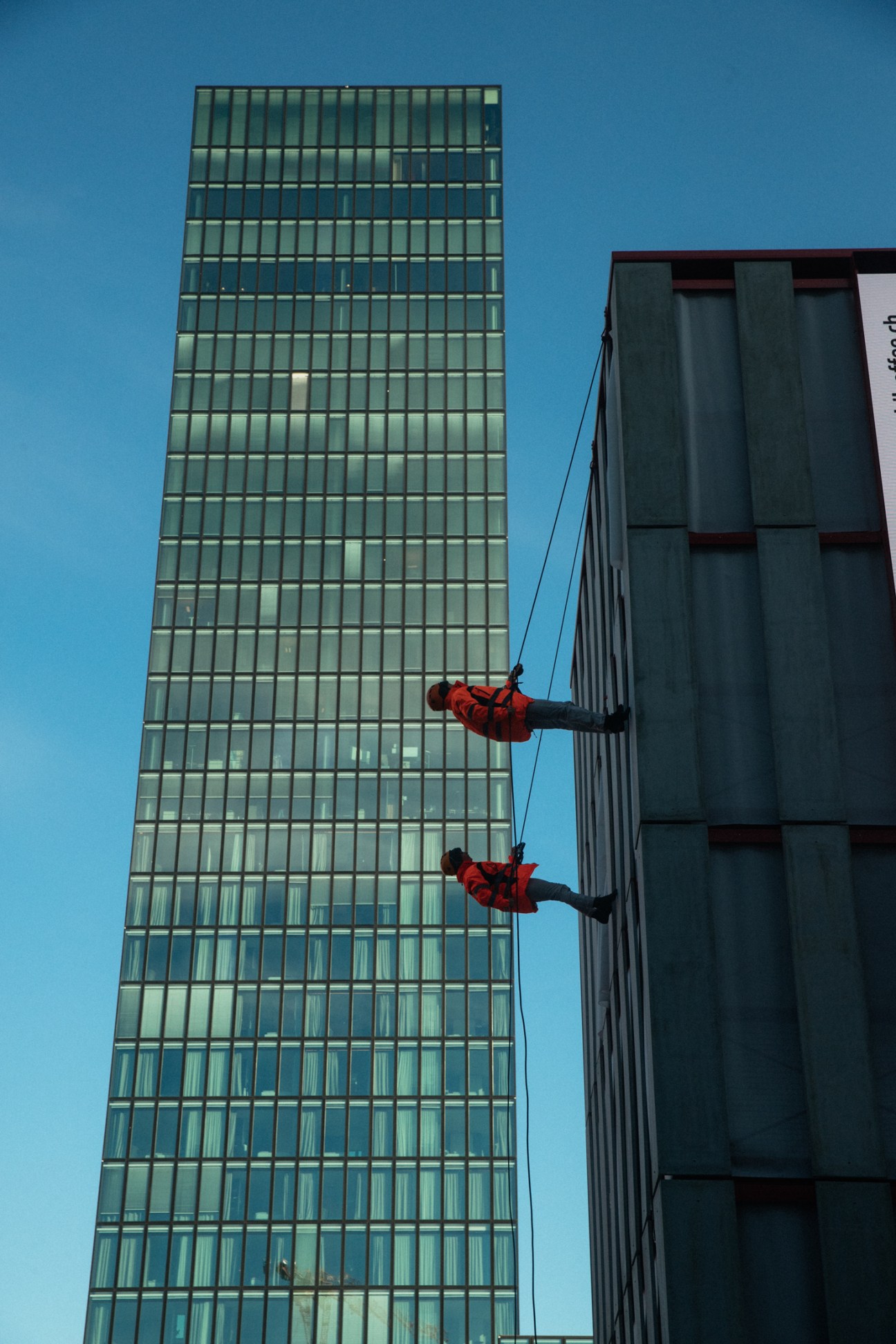 Two people in red safety gear rappelling down the glass facade of a modern office building