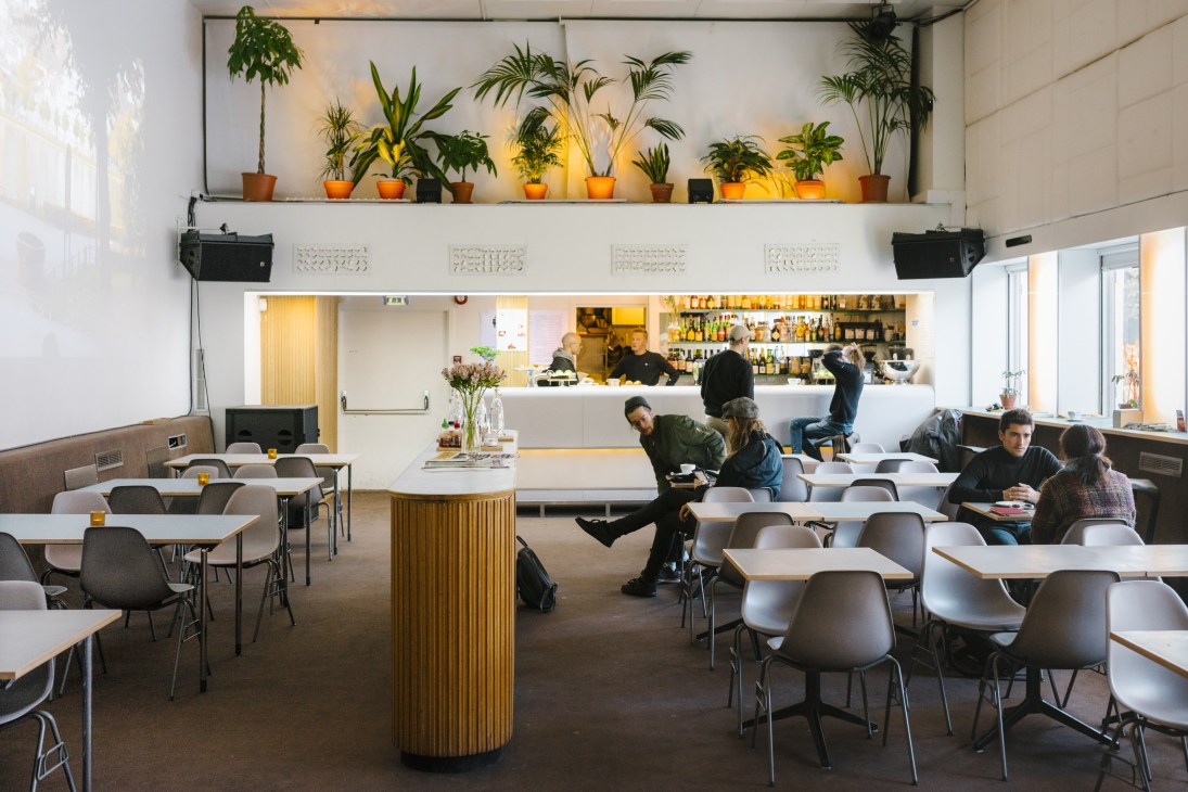 Bright café interior at Zander K with potted plants on illuminated shelf, bar counter, and guests seated at tables.