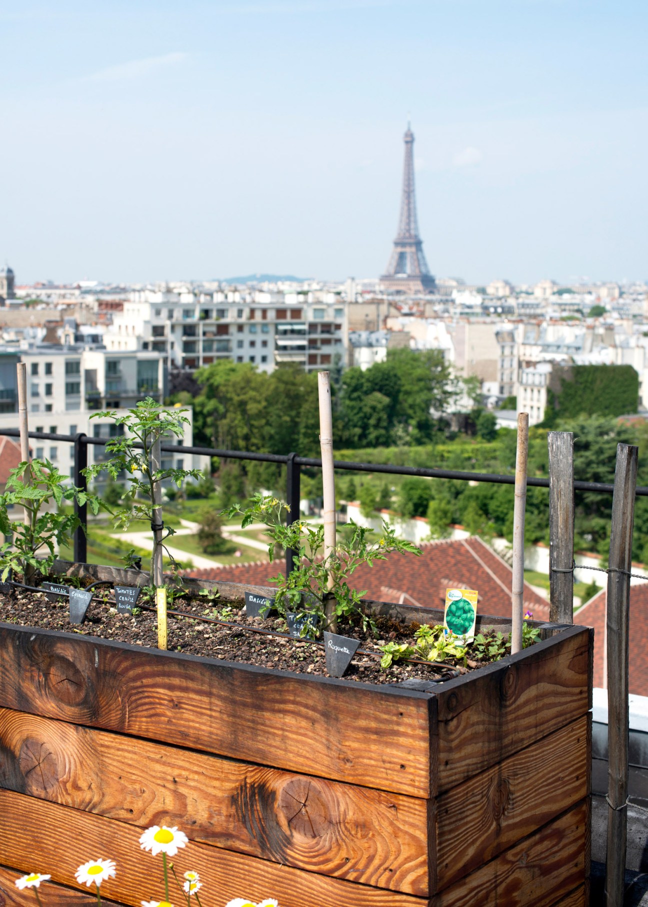 Wooden planter with growing vegetables and flowers on a rooftop with Paris skyline and Eiffel Tower in background.