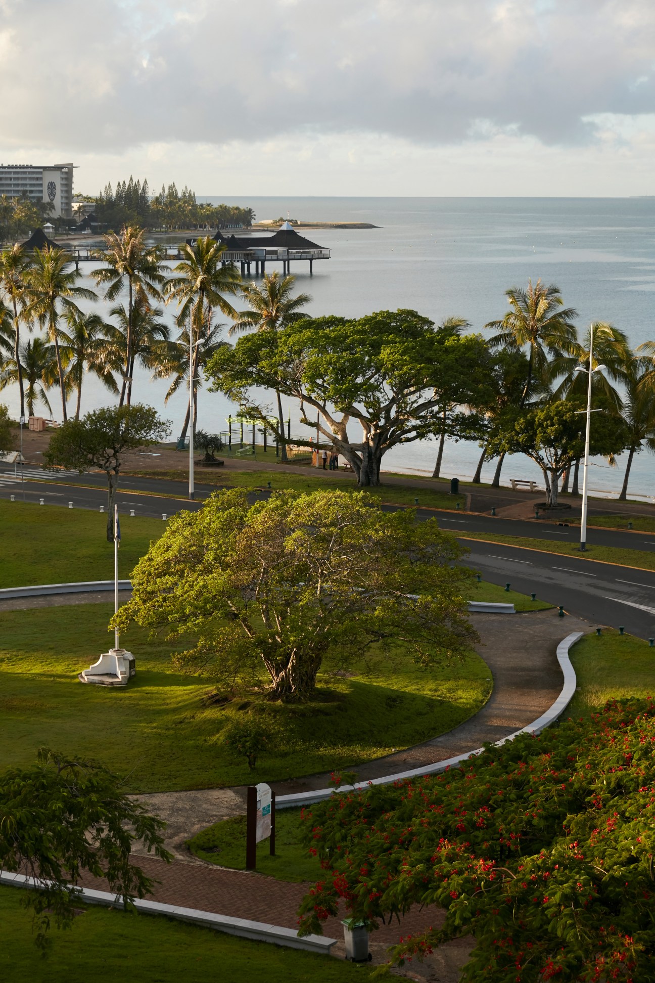 Waterfront promenade in Nouméa with palm trees, manicured lawns, modern buildings and the Pacific Ocean in the background.