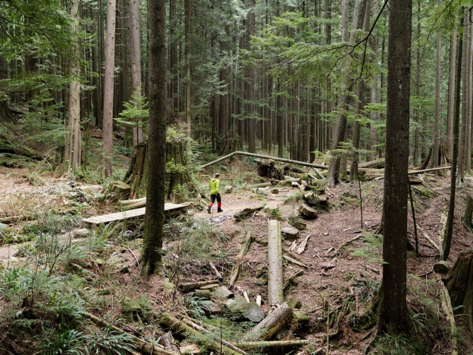 Person in bright yellow jacket walking on wooden boardwalk through dense forest with fallen logs