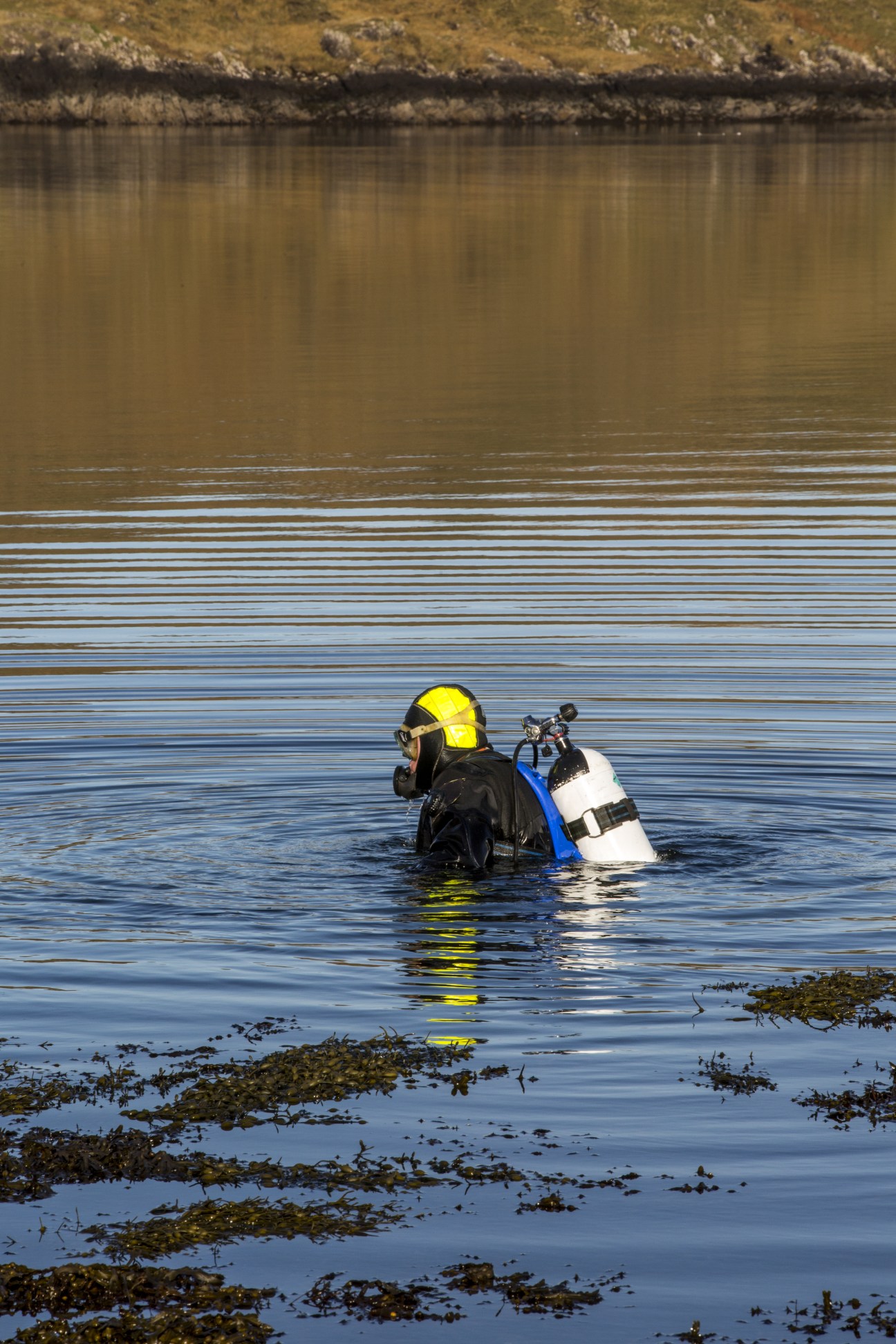Scallop farmer David Oakes in diving gear in the water at Loch Sligachan on the Isle of Skye.