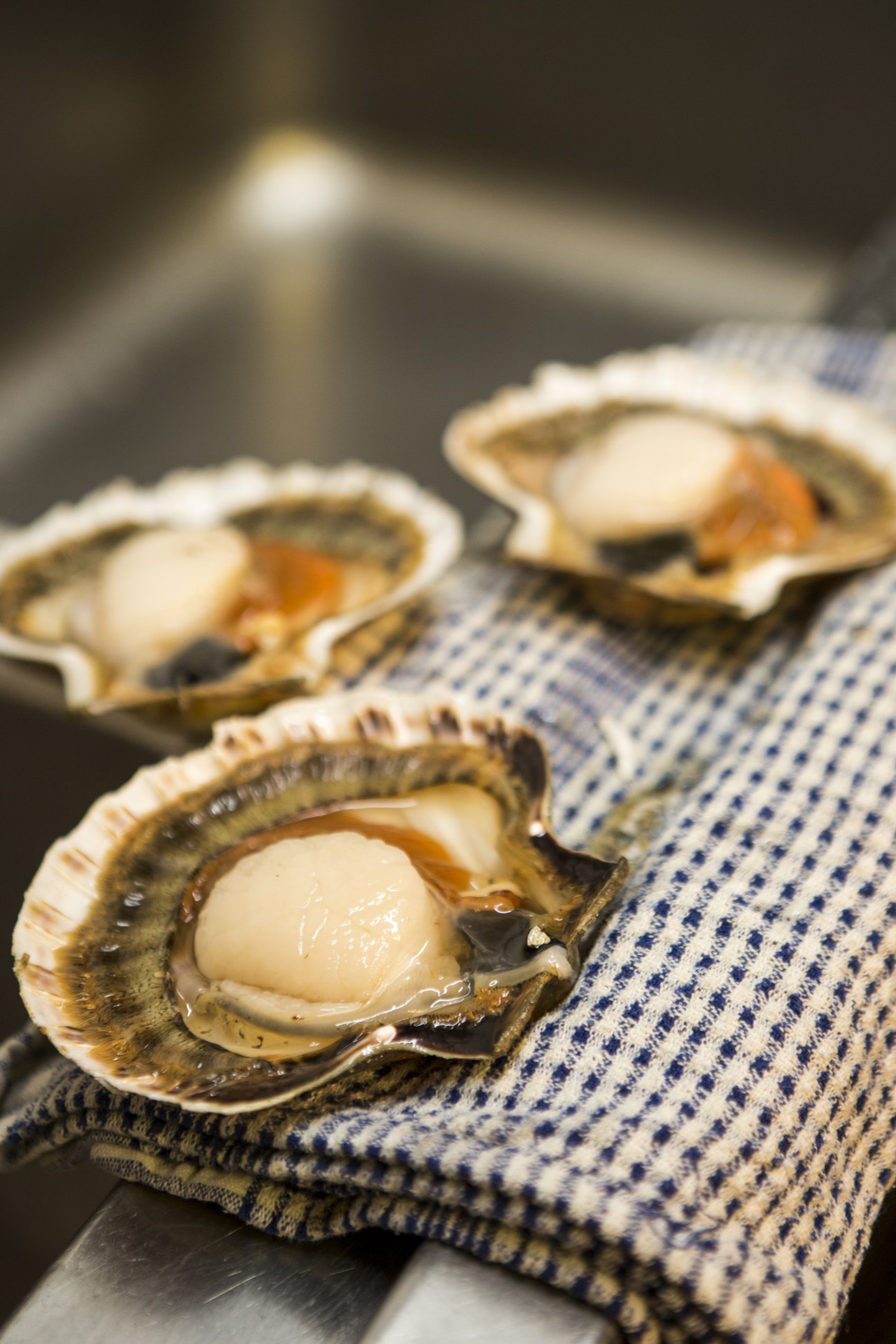 Freshly shucked scallops on a blue and white kitchen towel at Dulse & Brose restaurant.