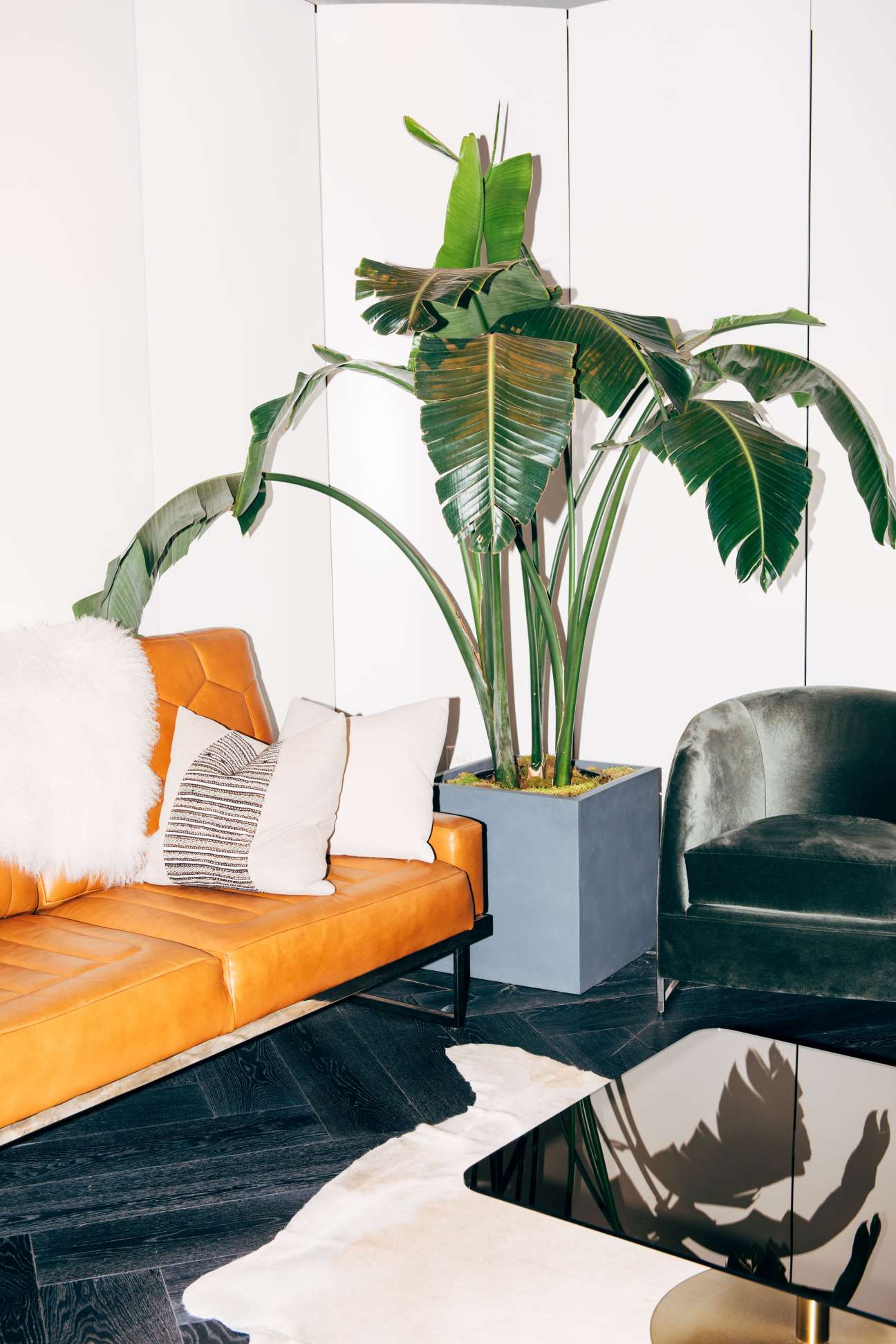Modern lounge seating with orange and grey chairs, potted banana plant, and minimalist decor in NeueHouse penthouse.